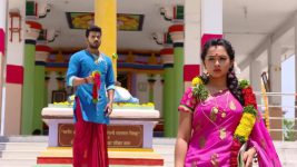 Agni Sakshi S01E156 Gowri to Leave Shanker Full Episode