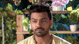 Agni Sakshi S01E175 Shanker in a Fix Full Episode