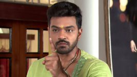 Agni Sakshi S01E181 Shanker Blames Gowri Full Episode