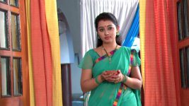 Agni Sakshi S01E191 Gowri Stands by Shanker Full Episode