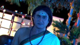 Agni Sakshi S01E209 Bala Brahmachari Punishes Gowri? Full Episode