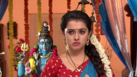 Agni Sakshi S01E213 Gowri on a Mission Full Episode