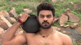 Agni Sakshi S01E227 Will Shanker Heed Gowri's Request? Full Episode