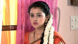 Agni Sakshi S01E233 Gowri On a Mission Full Episode