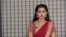 Agni Sakshi S01E237 A Shock for Gowri Full Episode