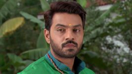 Agni Sakshi S01E243 Shanker's Concern for Gowri Full Episode