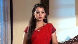 Agni Sakshi S01E244 Gowri Ploys Against Bhairavi Full Episode