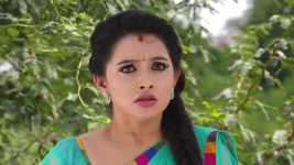 Agni Sakshi S01E261 Gowri in Grave Danger Full Episode