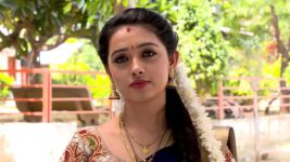 Agni Sakshi S01E274 Gowri's Assurance to Satya Full Episode