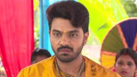 Agni Sakshi S01E278 A Shock Awaits Shanker's Family Full Episode