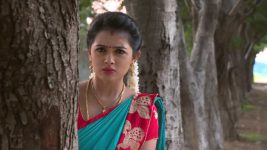 Agni Sakshi S01E288 Gowri Lands in Great Trouble Full Episode