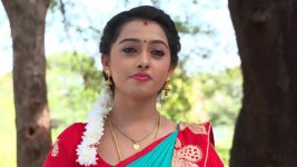 Agni Sakshi S01E292 Gowri to Reveal the Truth? Full Episode