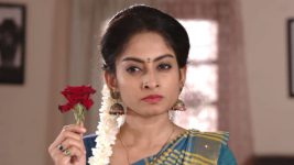 Agni Sakshi S01E311 Asha Fumes in Anger Full Episode