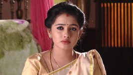 Agni Sakshi S01E313 Gowri in Distress Full Episode