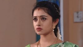 Agni Sakshi S01E317 Gowri, Shanker Get Divorced Full Episode