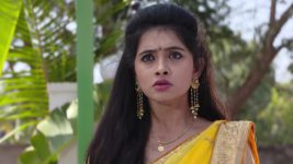 Agni Sakshi S01E346 An Upsetting News for Gowri Full Episode