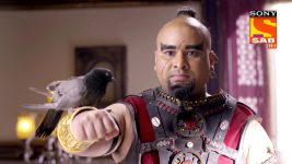 Aladdin Naam Toh Suna Hoga S01E356 Aladdin's Problems As A Bird Full Episode