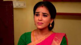 Amudhavum Annalakshmiyum S01 E119 22nd November 2022