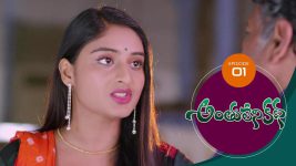 Anthuleni Katha S01E01 8th February 2021 Full Episode