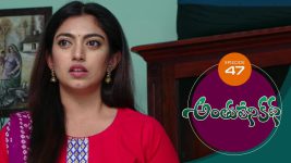 Anthuleni Katha S01E20 2nd March 2021 Full Episode