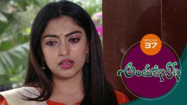 Anthuleni Katha S01E37 22nd March 2021 Full Episode