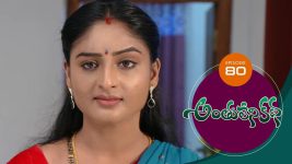 Anthuleni Katha S01E80 11th May 2021 Full Episode