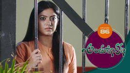 Anthuleni Katha S01E86 18th May 2021 Full Episode