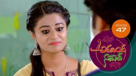 Aravinda Sametha S01E47 30th January 2021 Full Episode