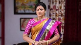 Avalum Naanum S01E137 Gayathri Pesters Thiya Full Episode
