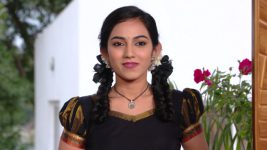 Bangaru Panjaram S01E113 Varam Helps Anand Full Episode