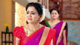 Bangaru Panjaram S01E399 Aparna Unfolds the Truth Full Episode