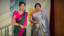 Bangaru Panjaram S01E457 Vasundhara Gets Startled Full Episode