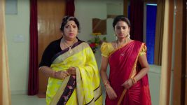 Bangaru Panjaram S01E458 Vasundhara Makes an Attempt Full Episode