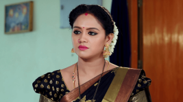 Bangaru Panjaram S01E459 Aparna Unfolds Her Plans Full Episode