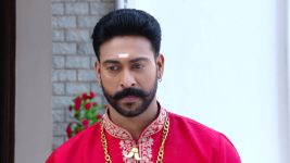 Bangaru Panjaram S01E58 Raja Babu Helps Mahalakshmi Full Episode