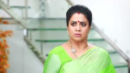 Bharathi Kannamma S01E101 Soundharya Humiliates Kannamma Full Episode
