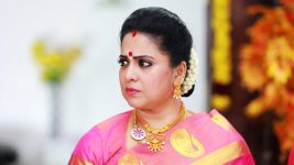 Bharathi Kannamma S01E225 Soundharya Creates a Ruckus Full Episode