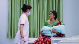 Bharathi Kannamma S01E353 Kannamma On Cloud Nine Full Episode