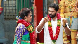 Bharathi Kannamma S01E390 Venba in a Hurry to Wed! Full Episode