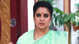 Bharathi Kannamma S01E407 Soundharya on a Mission Full Episode