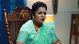 Bharathi Kannamma S01E409 Soundharya's Misery Full Episode