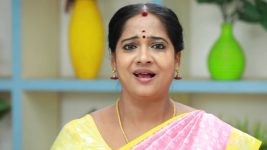 Bharathi Kannamma S01E425 Bhagyalakshmi on Cloud Nine Full Episode