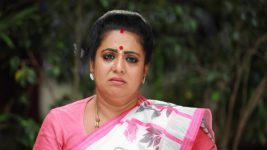 Bharathi Kannamma S01E445 Soundharya Senses Trouble Full Episode