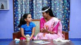 Bharathi Kannamma S01E530 Hema Questions Kannamma Full Episode