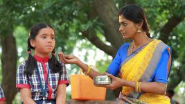 Bharathi Kannamma S01E721 Hema Feels Numb Full Episode