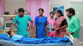 Bharathi Kannamma S01E806 Shakthi Regains Her Consciousness Full Episode