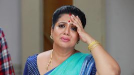 Bharathi Kannamma S01E903 Soundharya Fears the Worst Full Episode