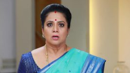 Bharathi Kannamma S01E908 Soundharya Gets Anxious Full Episode