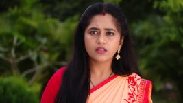 Chelleli Kaapuram S01E147 Manasa Loses Her Cool Full Episode