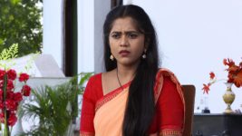 Chelleli Kaapuram S01E151 Manasa Learns the Truth Full Episode